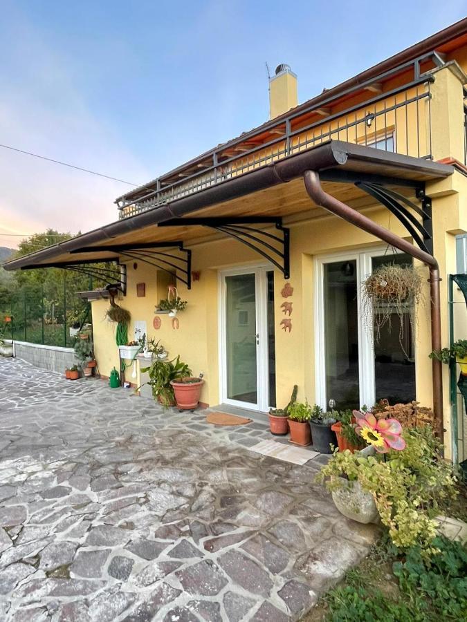Villa Sassaia11 Arezzo Esterno foto