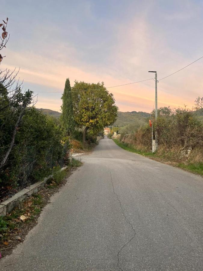 Villa Sassaia11 Arezzo Esterno foto